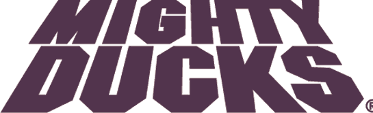 Mighty Ducks of Anaheim 1993-2006 Wordmark Logo iron on transfers for fabric